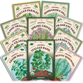 Seedboy Genovese Basil seeds ready to grow vibrant leaves for fresh meals.