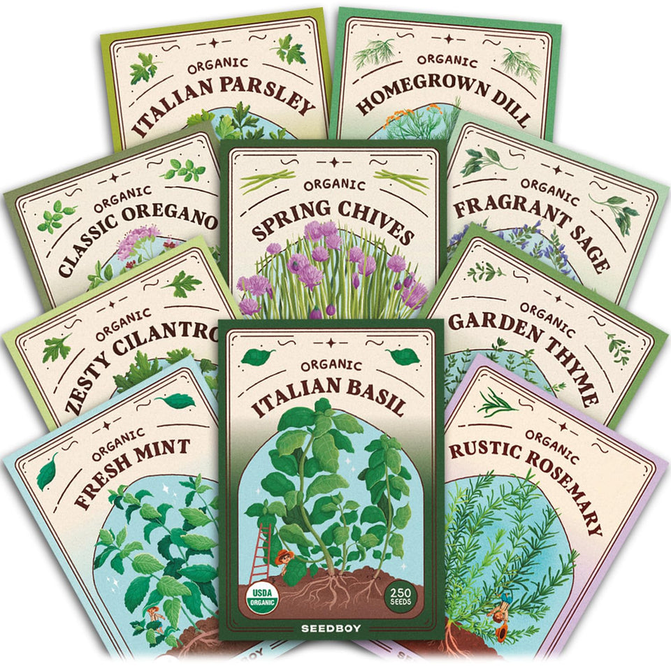 Seedboy Genovese Basil seeds ready to grow vibrant leaves for fresh meals.