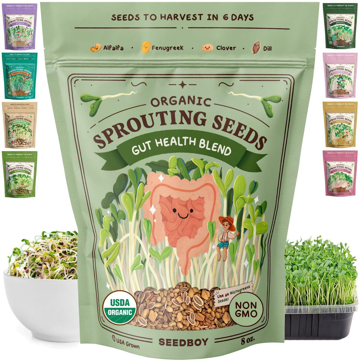 Seedboy Gut Health Blend seeds ready to sprout for fresh, fiber-rich greens.