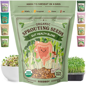 Seedboy Gut Health Blend seeds ready to sprout for fresh, fiber-rich greens.