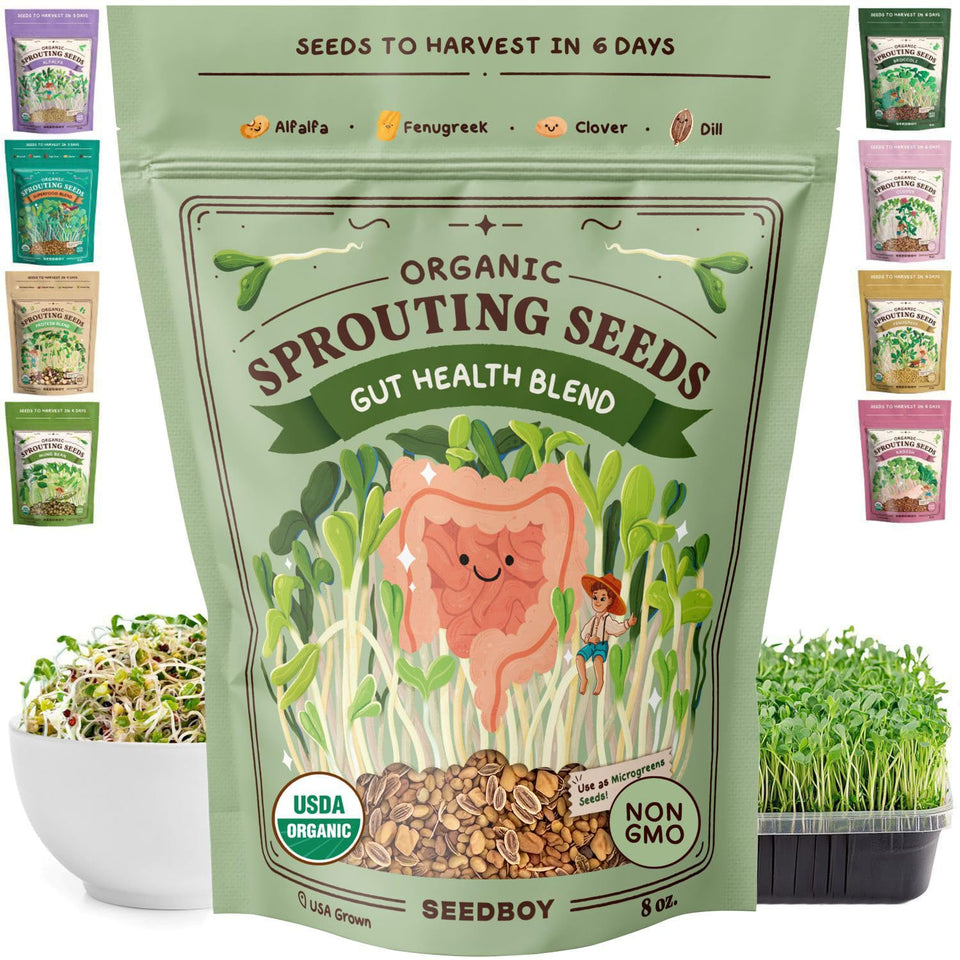 Seedboy Gut Health Blend seeds ready to sprout for fresh, fiber-rich greens.