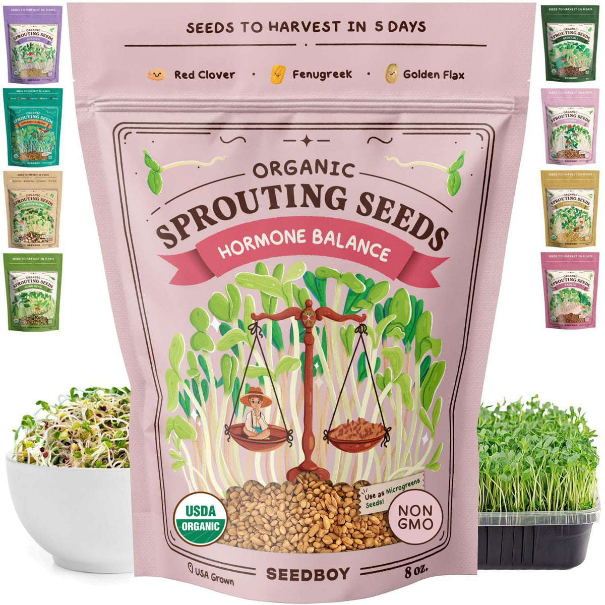 Seedboy Hormone Balance Seeds in a jar for quick, nutrient-rich sprouts.