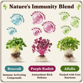 Seedboy broccoli sprouts close-up with vibrant greens for quick meals