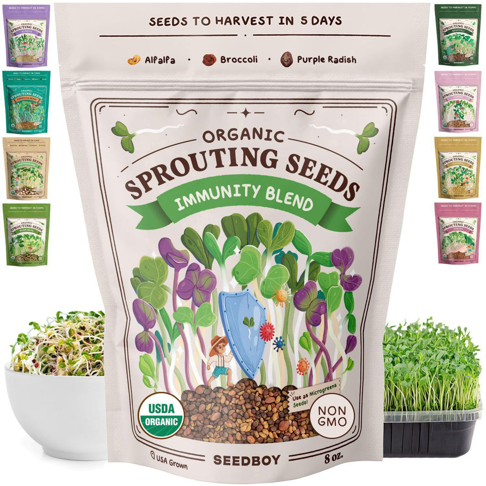 Seedboy Immune System Booster seeds in USA-grown packaging ready for simple kitchen sprouting