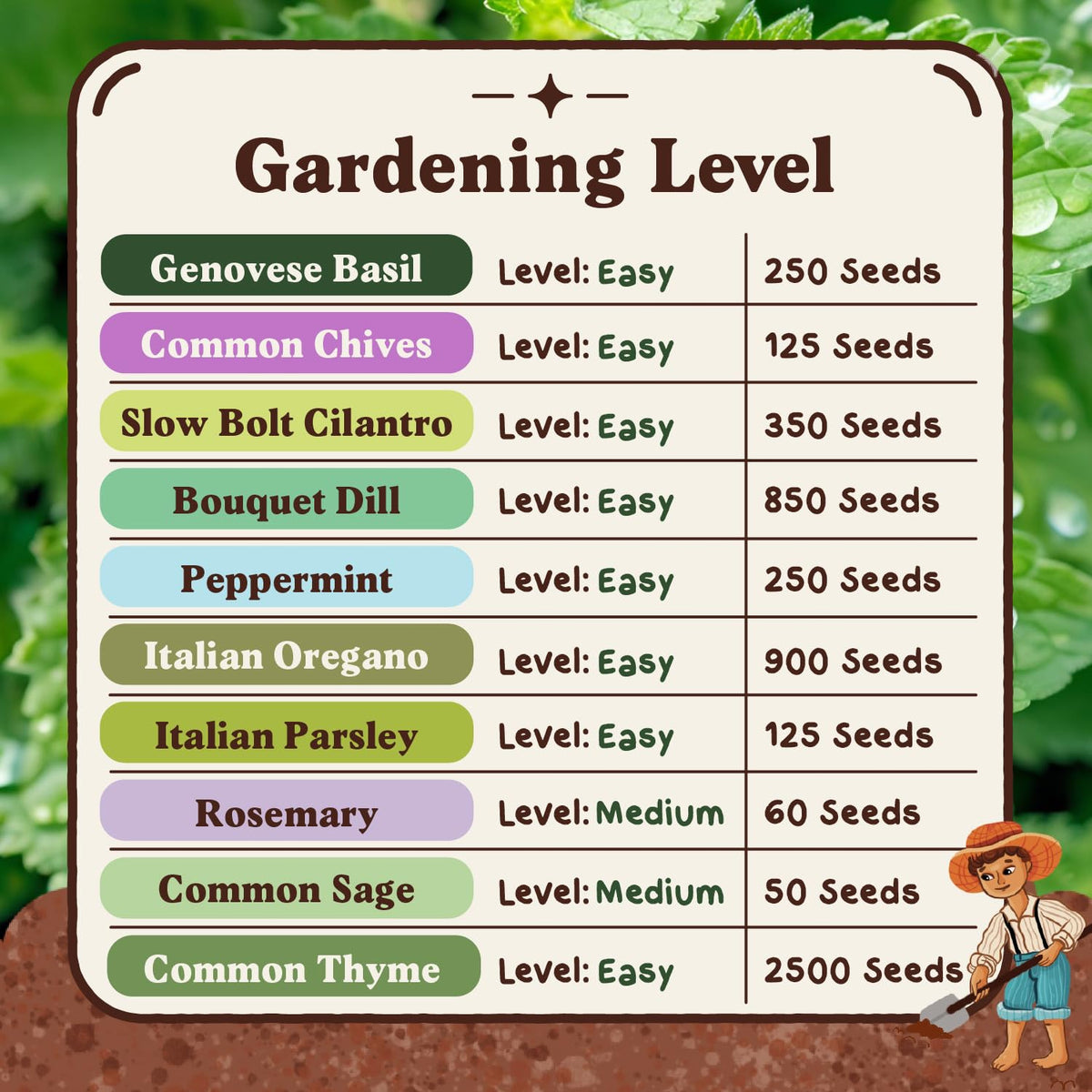 Seedboy Italian Oregano seeds for warm, Mediterranean flavors in pizzas and sauces.