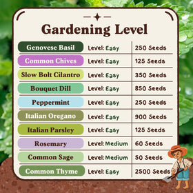Seedboy Italian Oregano seeds for warm, Mediterranean flavors in pizzas and sauces.