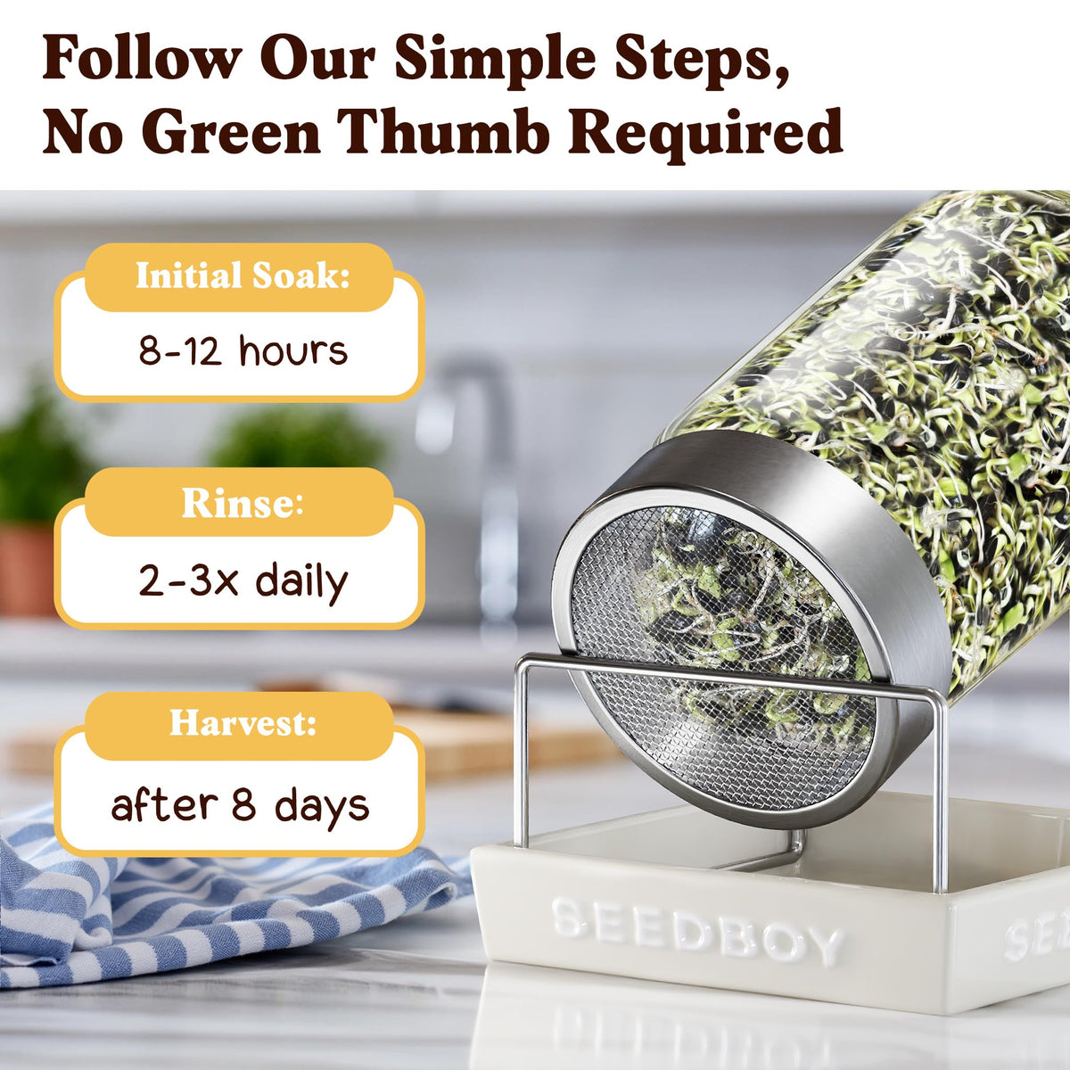 Seedboy sprouts used in daily meals for easy greens in kitchens.