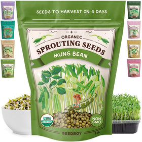 Seedboy mung bean seed bag with organic label for home sprouting