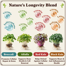 Seedboy Organic Alfalfa seeds for crisp sprouts ready in days.