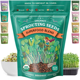 Seedboy broccoli sprouts—crisp greens for quick salads.