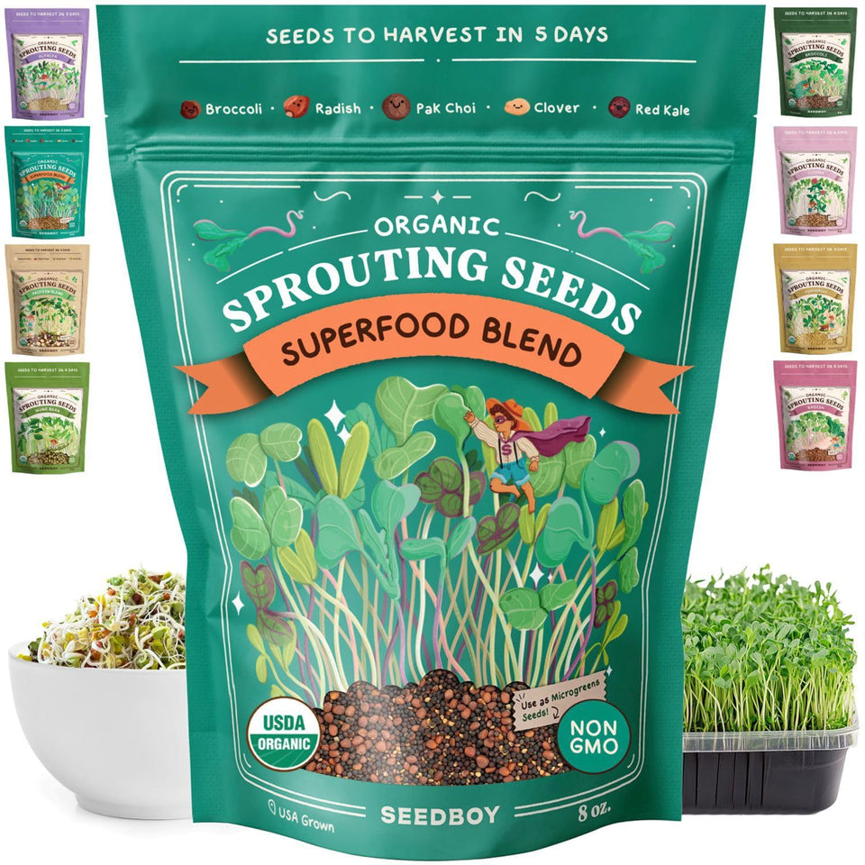 Seedboy broccoli sprouts—crisp greens for quick salads.