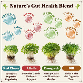 Seedboy Organic Sprouting Seeds USA-grown for crisp microgreens at home.