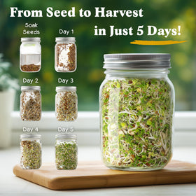 Seedboy Organic sprouting seeds USA-grown, perfect for quick home sprouting.