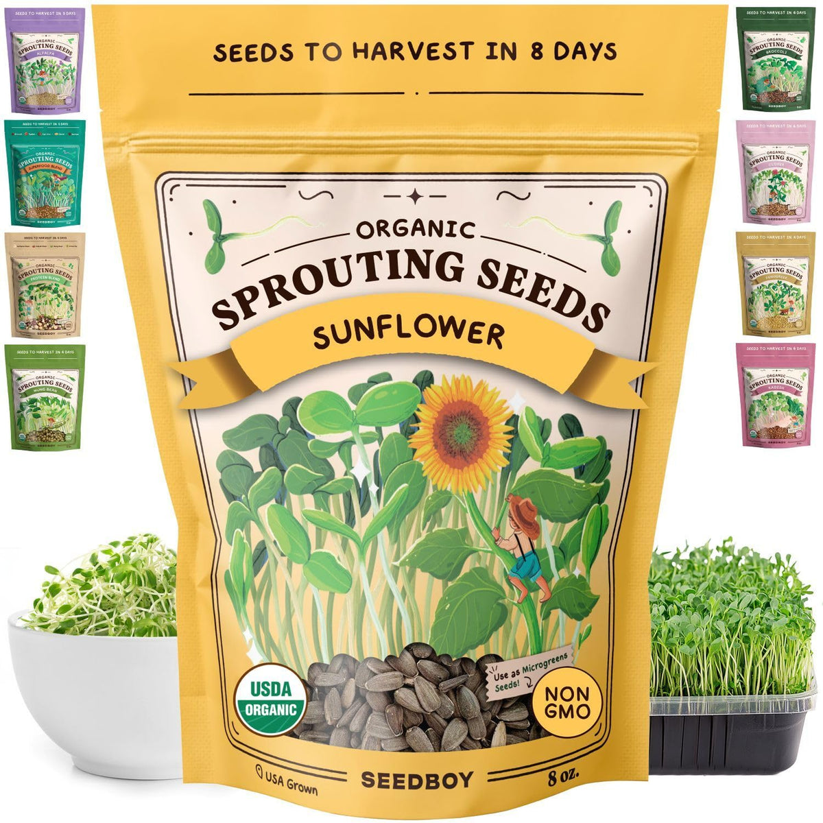Seedboy Organic Sunflower Seeds packaging, premium seeds ready for home sprouting.