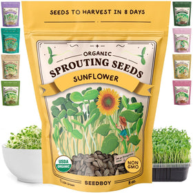 Seedboy Organic Sunflower Seeds packaging, premium seeds ready for home sprouting.