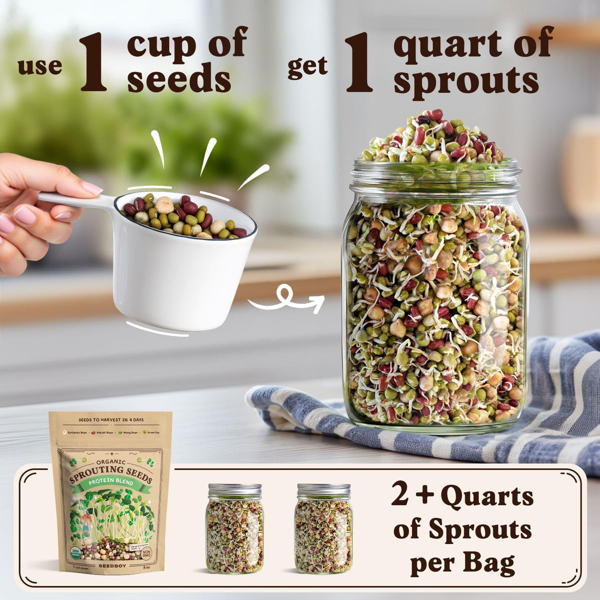 Seedboy organic USA-grown seeds pack for premium, pure sprouts