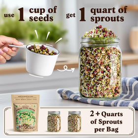 Seedboy organic USA-grown seeds pack for premium, pure sprouts