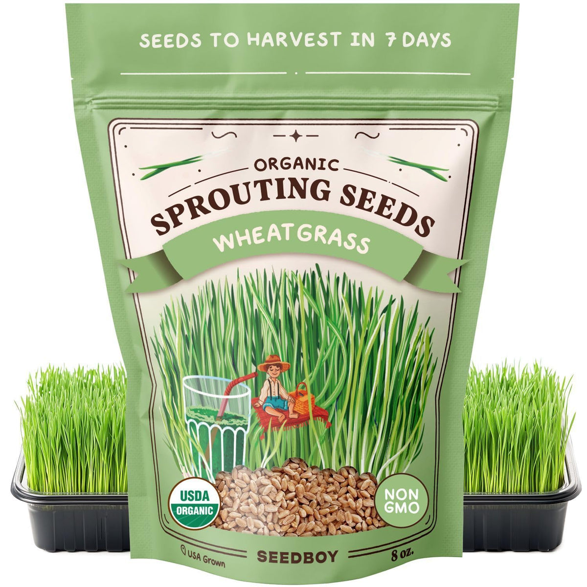 Seedboy Organic Wheatgrass Seeds in front bag for easy home sprouting.