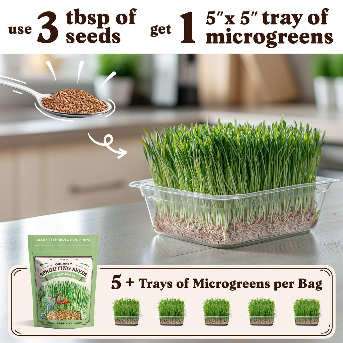Seedboy wheatgrass seeds USA-grown label ideal for small-space microgreens.
