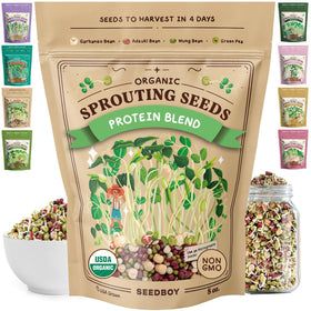 Seedboy protein blend 8oz bag ready to sprout for quick, protein-rich greens