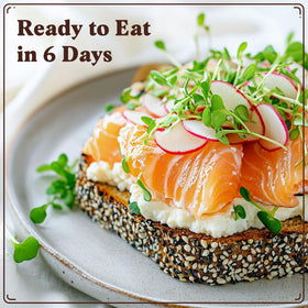 Seedboy ready-harvest in six days supports quick meal upgrades.