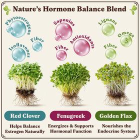 Seedboy Red Clover microgreens ready to boost salads and wraps.