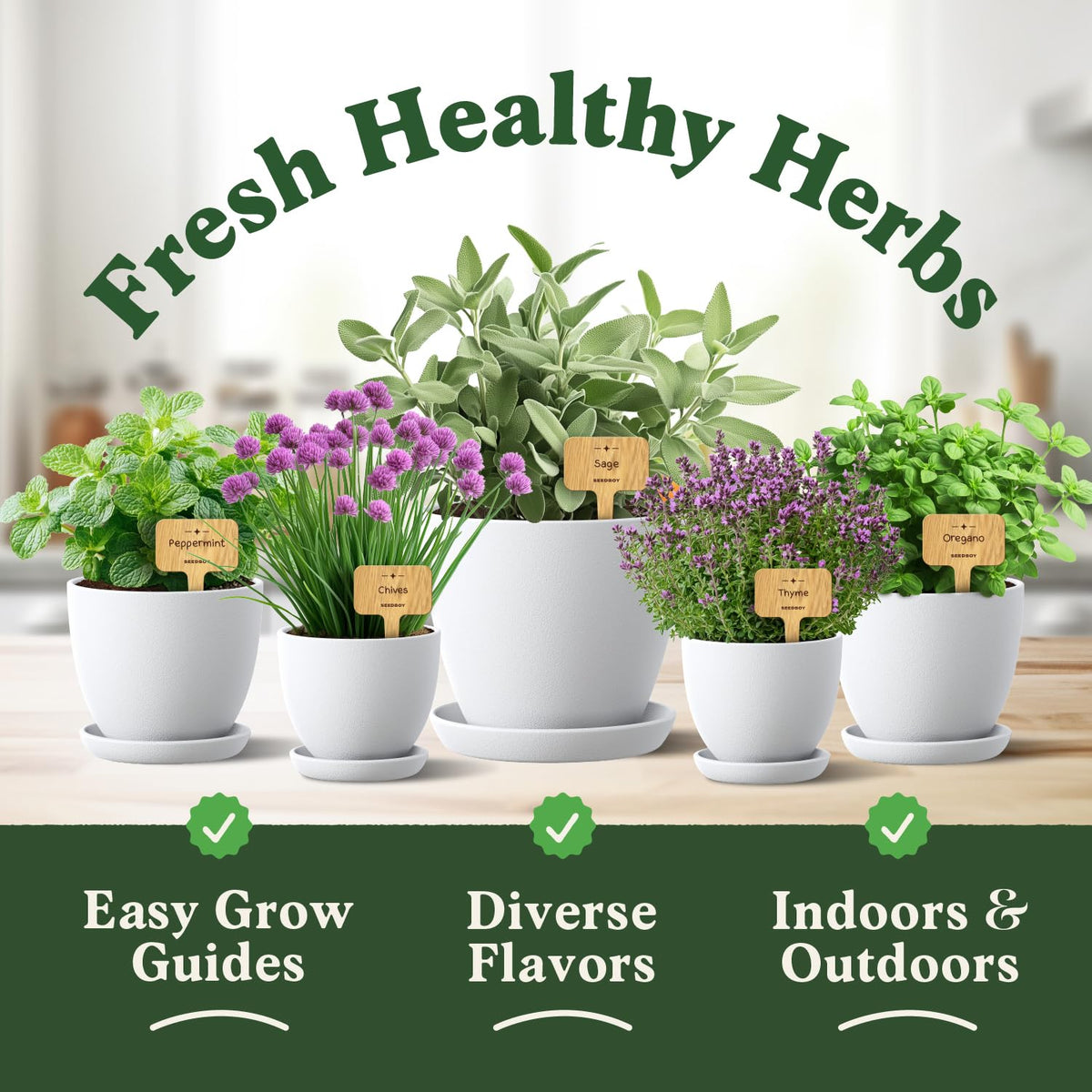 Seedboy Rosemary seeds for robust, aromatic herb ideal in roasting and seasoning.