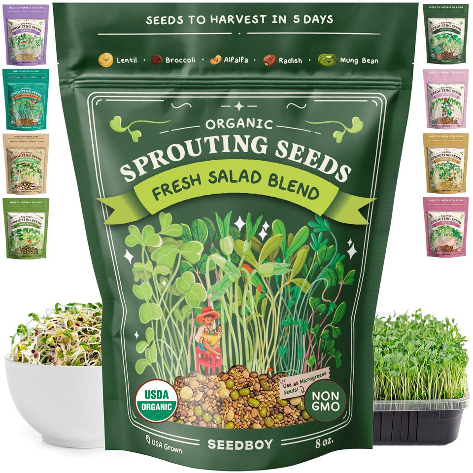 Seedboy salad blend seeds in a jar, fresh greens for quick meals.