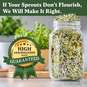 Seedboy vibrant salad sprouts in a bowl for meals.