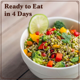 Seedboy sprouts on a salad adding crunch and color