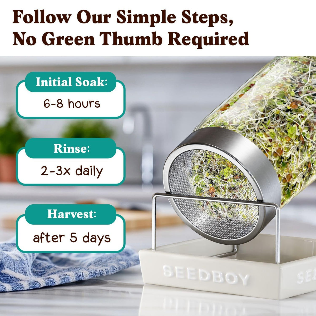 Seedboy beginner sprouting guide—easy steps to start today.