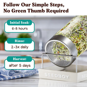 Seedboy beginner sprouting guide—easy steps to start today.