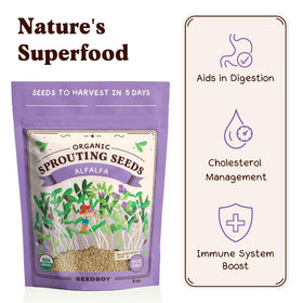 Seedboy sprouting instructions bundle for beginners