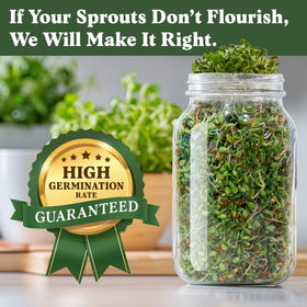 Seedboy Sprouting Jar setup guide showing DIY home sprouting.