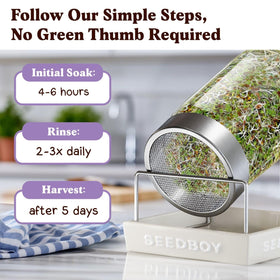 Jar setup for Seedboy sprouting in a compact kitchen