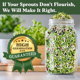 Seedboy sprouting jar setup shows a simple, space-saving method for fresh greens.