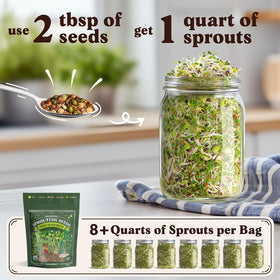 Seedboy sprouting jar with seeds, easy setup for beginners.