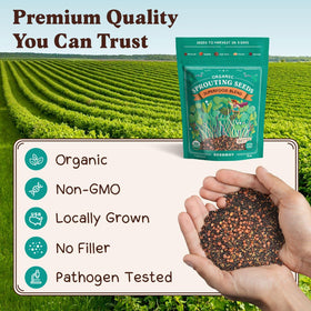 Seedboy 8oz superfood blend—seed packet for home sprouting.
