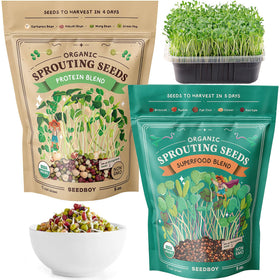 Seedboy Superfood blend seeds in a bag ready to sprout.