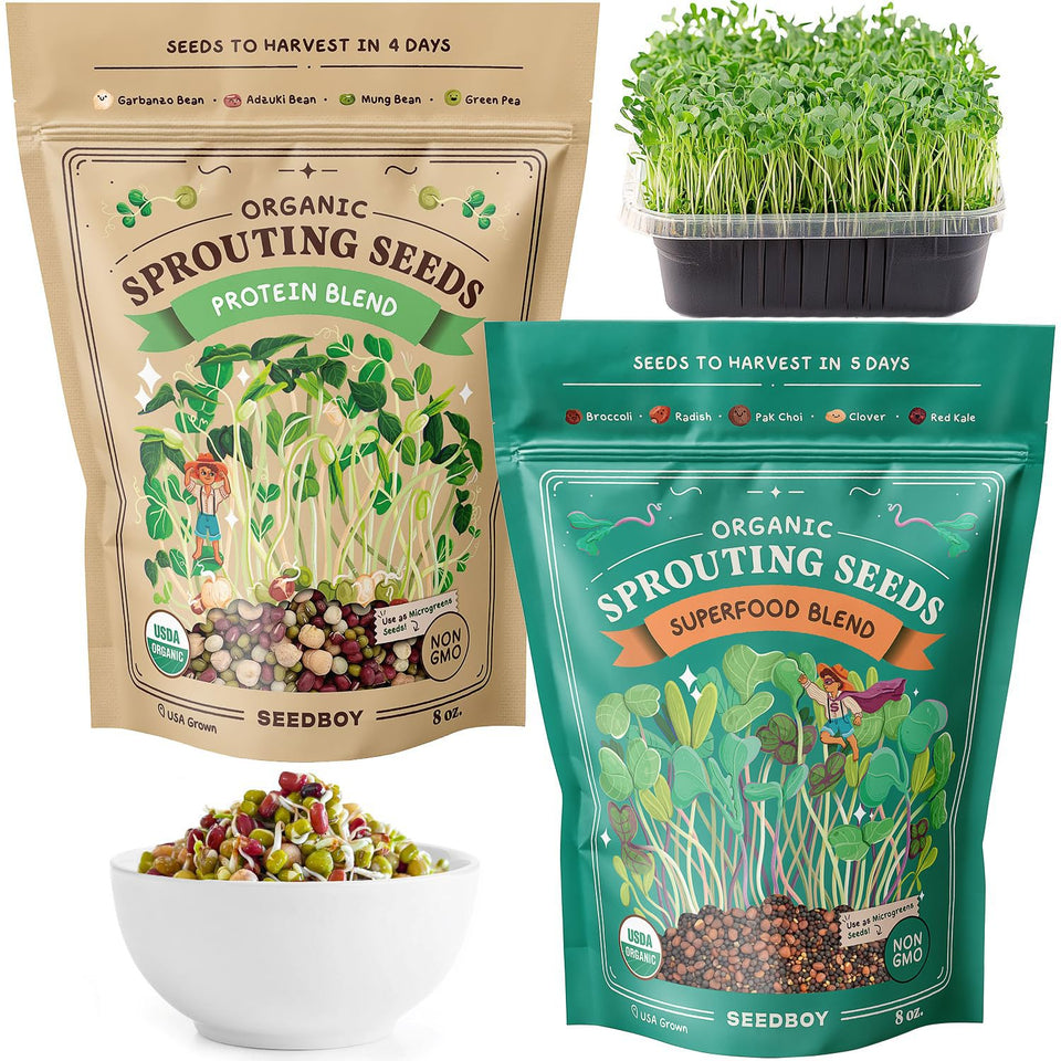 Seedboy Superfood blend seeds in a bag ready to sprout.