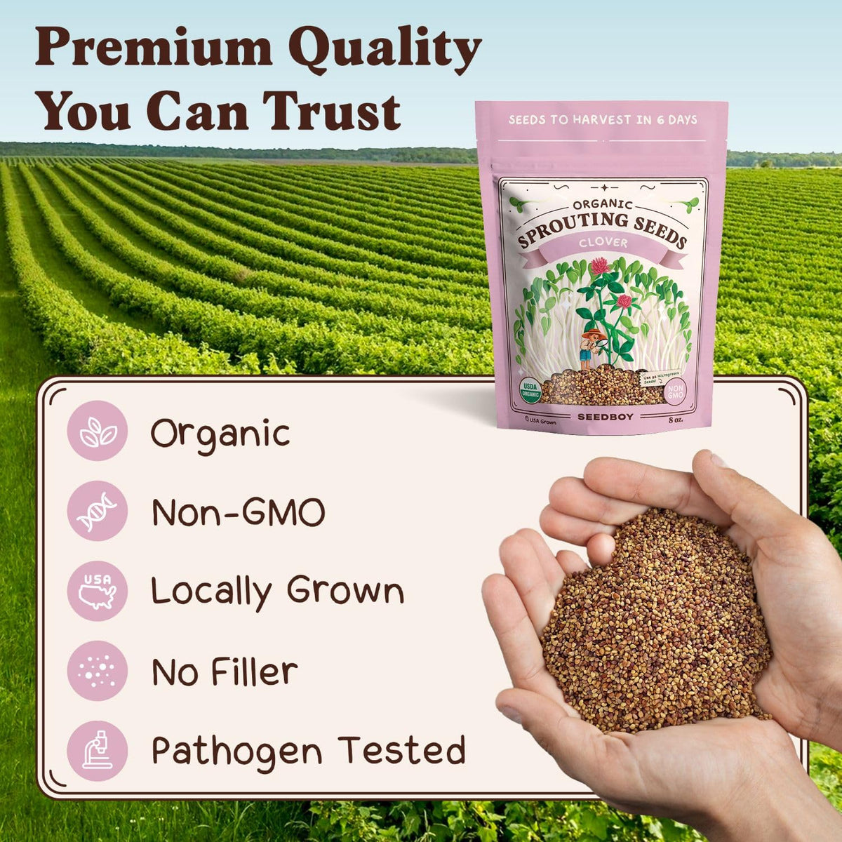 Seedboy sweet nutty flavor ideal for salads and bowls.