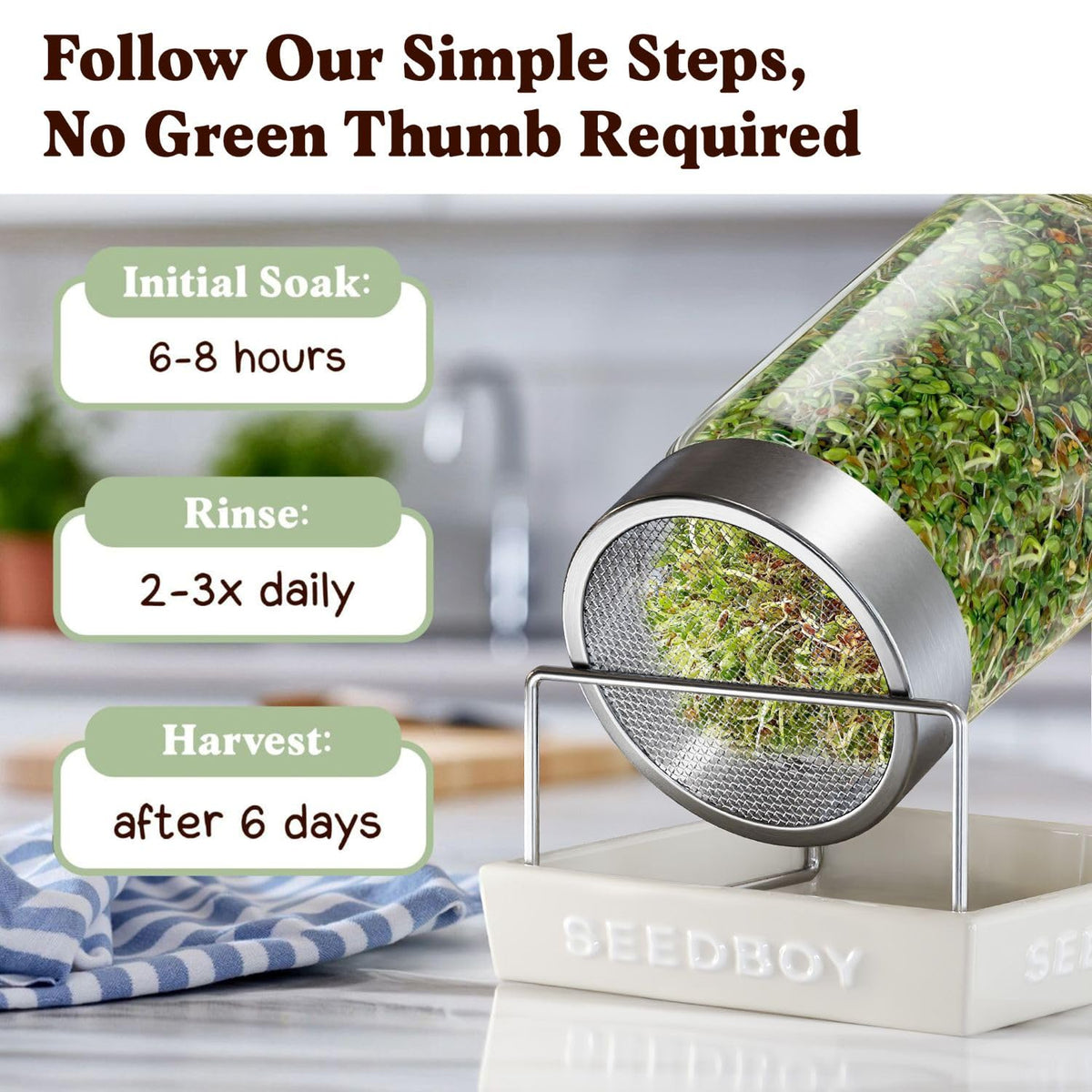 Seedboy USA-grown organic seeds displayed for kitchen-friendly sprouting.