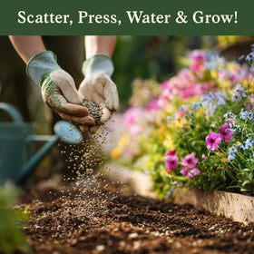 Seedboy Wildflowers perform across USDA zones 1–13 for seasonal color and resilience.