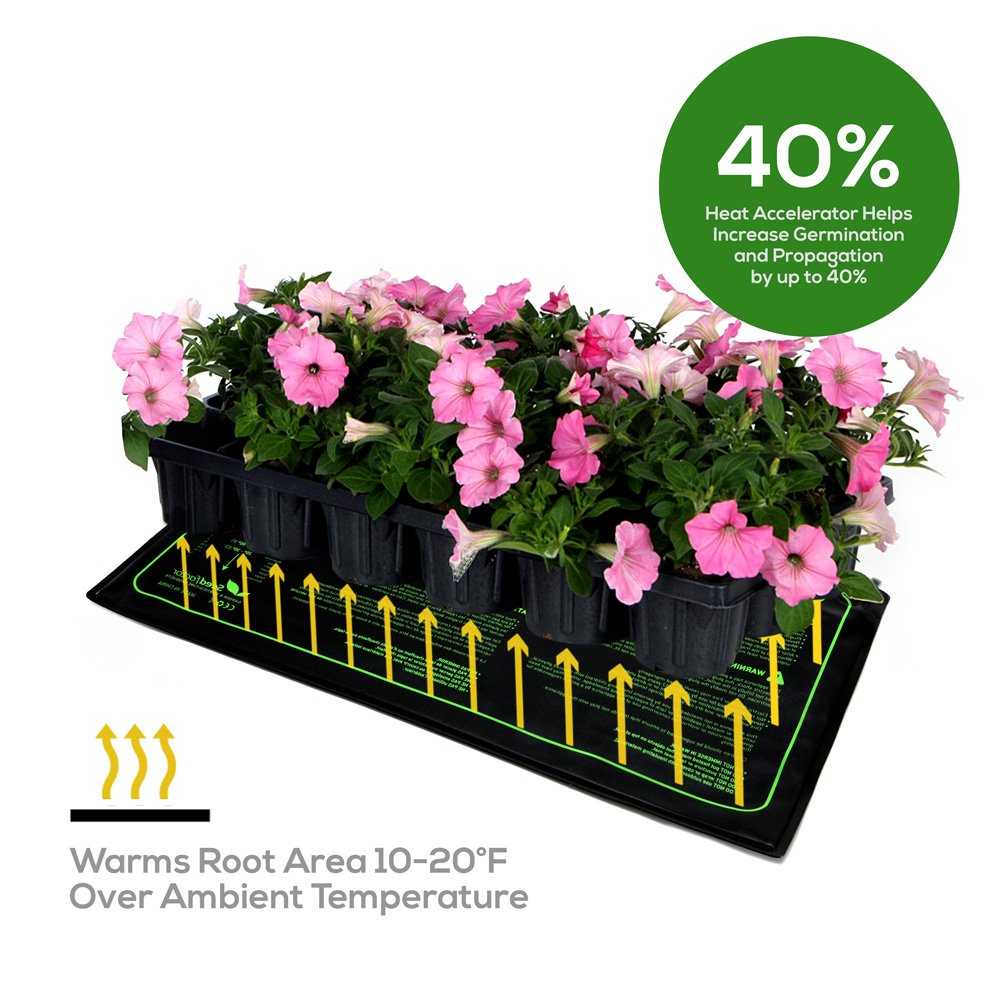 Seedfactor Seedling Heat Mat under seedling tray for steady root warmth