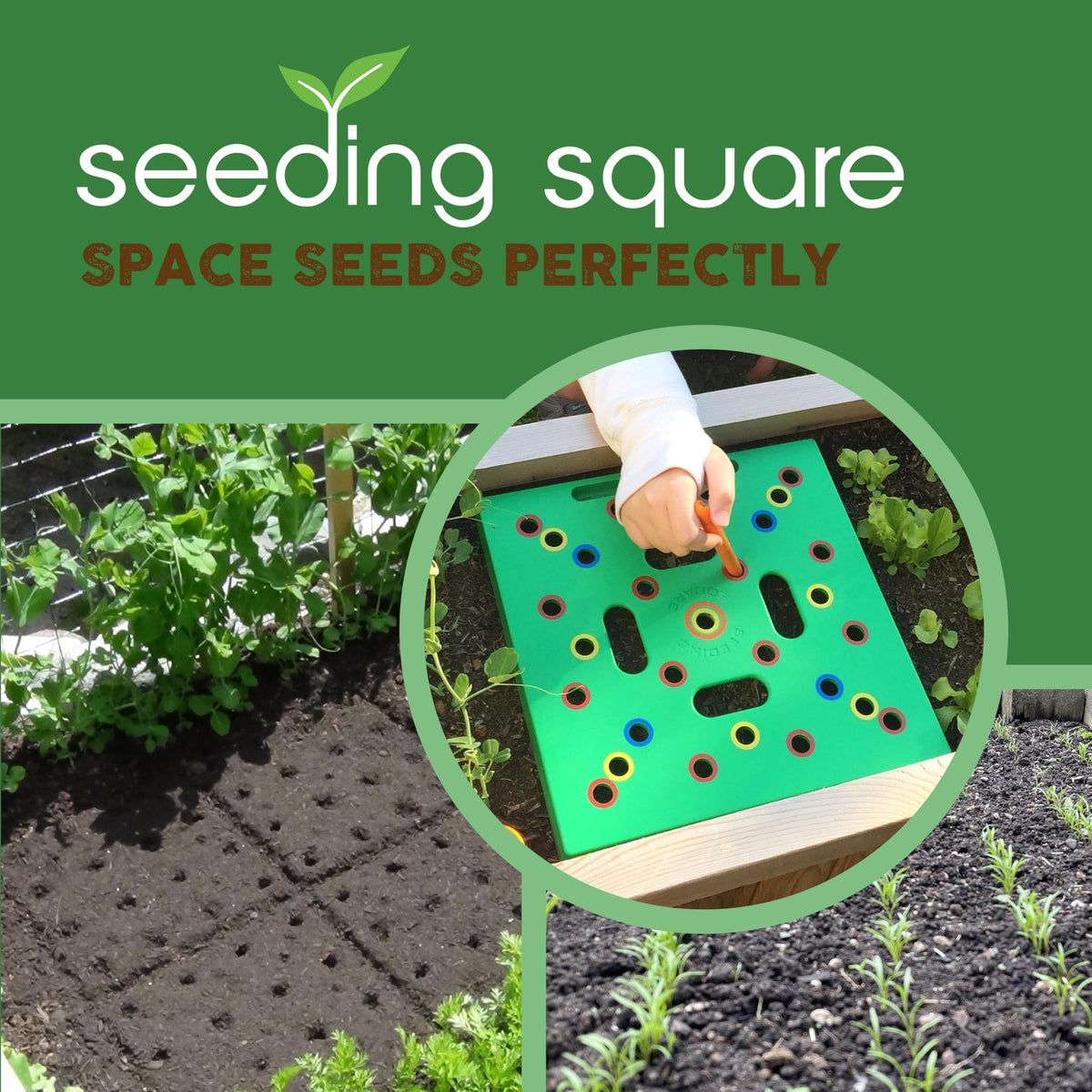 Seeding Square dibber helps make even holes for uniform seedlings.