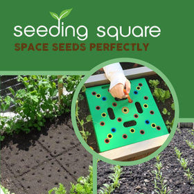 Seeding Square dibber helps make even holes for uniform seedlings.