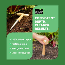 Seeding Square Pokey Planter helps garlic and onion planting