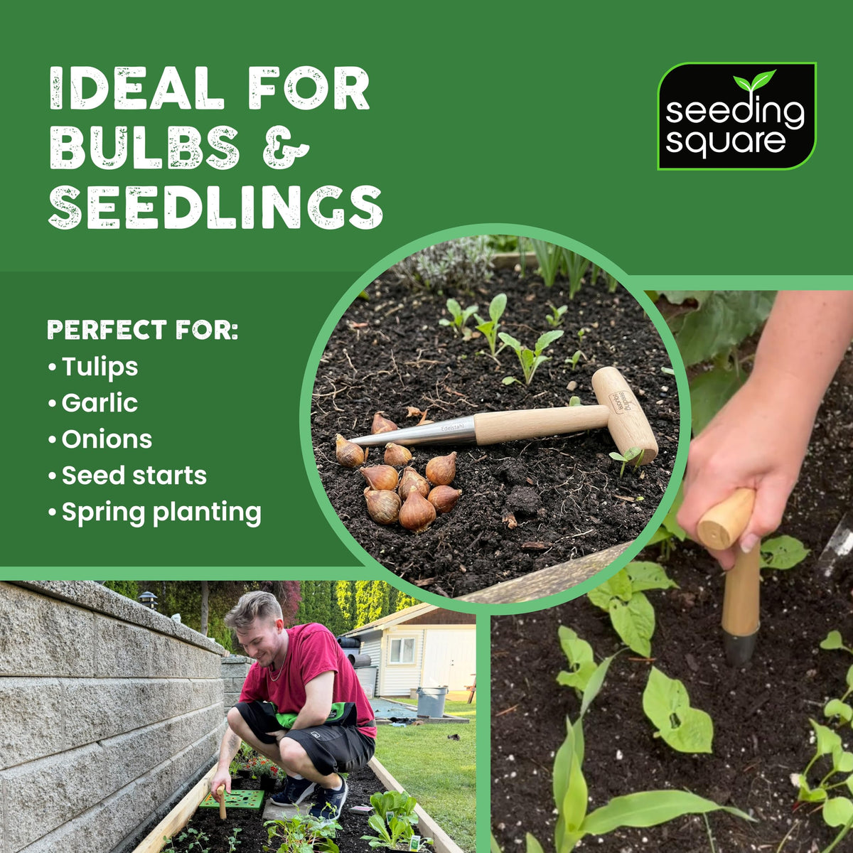 Seeding Square Pokey Planter supports seedling transplanting with gentle root protection