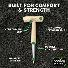 Seeding Square Pokey Planter ideal for tulips and daffodils planting
