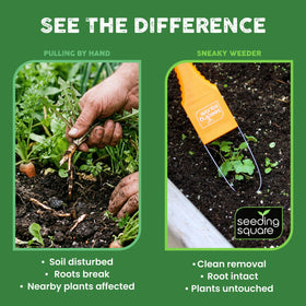 Sneaky Weeder reaching tight-spaces between plants for weed removal